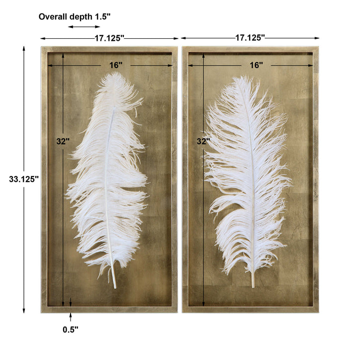 WHITE FEATHERS SHADOW BOXES, S/2 DECOR