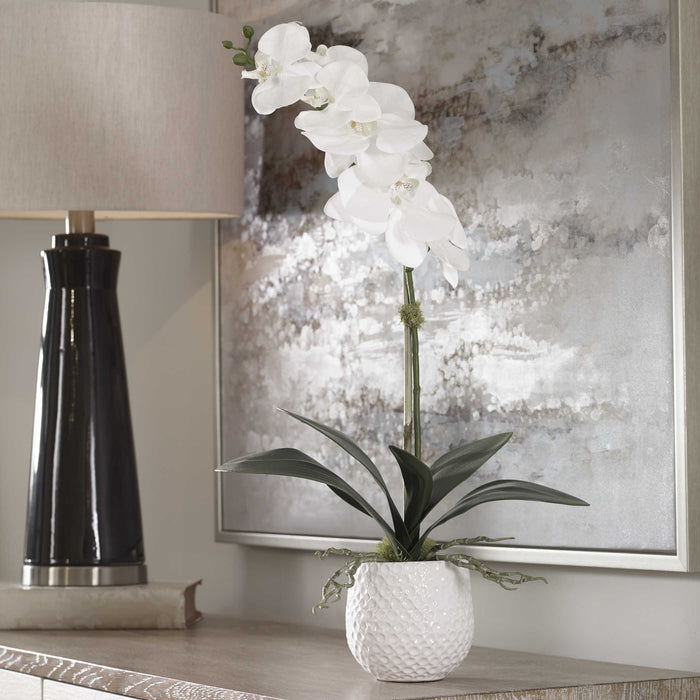 CAMI ORCHID DECOR