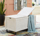 Coltport Storage Trunk - Yulissa Home Furnishings (NJ)