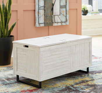 Coltport Storage Trunk - Yulissa Home Furnishings (NJ)