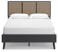 Charlang Panel Bed - Yulissa Home Furnishings (NJ)