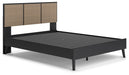 Charlang Panel Bed - Yulissa Home Furnishings (NJ)