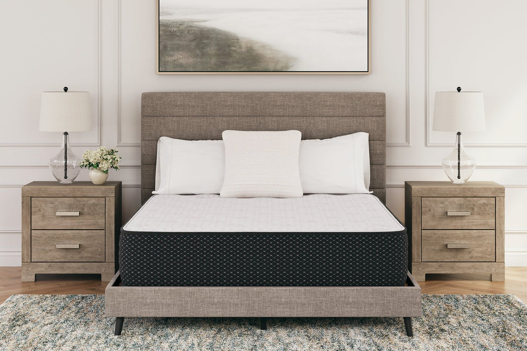 Limited Edition Plush Mattress - Yulissa Home Furnishings (NJ)