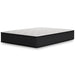 Limited Edition Plush Mattress - Yulissa Home Furnishings (NJ)