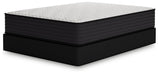 Limited Edition Plush Mattress - Yulissa Home Furnishings (NJ)