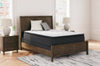 Limited Edition PT Mattress - Yulissa Home Furnishings (NJ)