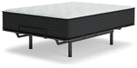 Palisades Plush Mattress - Yulissa Home Furnishings (NJ)