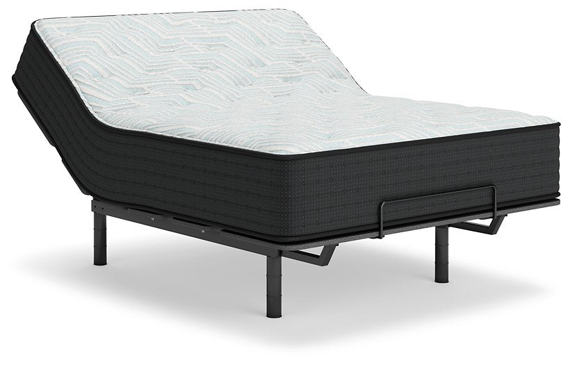 Palisades Plush Mattress - Yulissa Home Furnishings (NJ)