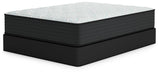 Palisades Plush Mattress - Yulissa Home Furnishings (NJ)