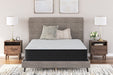 Palisades Plush Mattress - Yulissa Home Furnishings (NJ)