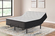 Palisades Plush Mattress - Yulissa Home Furnishings (NJ)