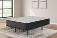 Palisades Plush Mattress - Yulissa Home Furnishings (NJ)