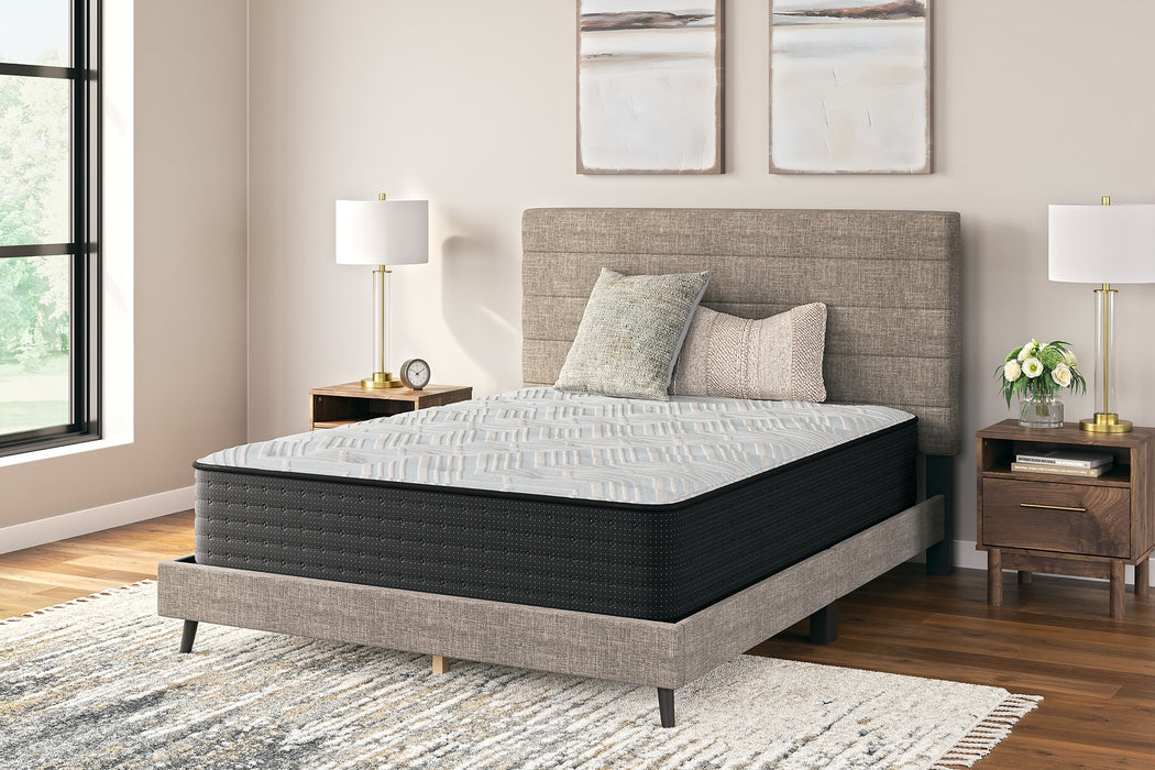 Palisades Plush Mattress - Yulissa Home Furnishings (NJ)