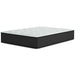 Palisades Plush Mattress - Yulissa Home Furnishings (NJ)