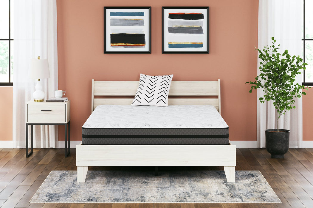 10 Inch Pocketed Hybrid Mattress - Yulissa Home Furnishings (NJ)