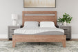 8 Inch Memory Foam Mattress - Yulissa Home Furnishings (NJ)