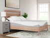 12 Inch Memory Foam Mattress - Yulissa Home Furnishings (NJ)