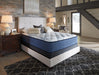 Mt Dana Firm California King Mattress - Yulissa Home Furnishings (NJ)