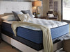 Mt Dana Plush California King Mattress - Yulissa Home Furnishings (NJ)