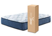 Mt Dana Plush California King Mattress - Yulissa Home Furnishings (NJ)