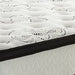 Chime 12 Inch Hybrid 2-Piece Mattress Set - Yulissa Home Furnishings (NJ)