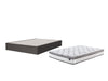 10 Inch Bonnell PT Mattress Set - Yulissa Home Furnishings (NJ)