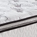 10 Inch Bonnell PT Mattress Set - Yulissa Home Furnishings (NJ)