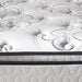 10 Inch Bonnell PT Mattress Set - Yulissa Home Furnishings (NJ)