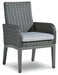 Elite Park Arm Chair with Cushion (Set of 2) - Yulissa Home Furnishings (NJ)