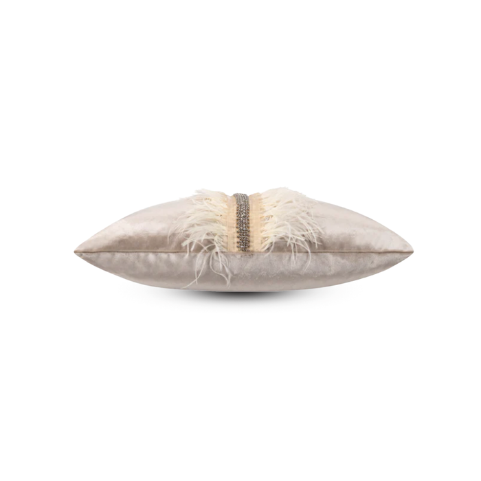 Ava Beige Velvet Pillow PI00012